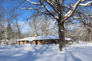 House under large oak use